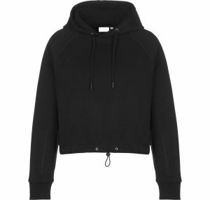 Crop Hoodies